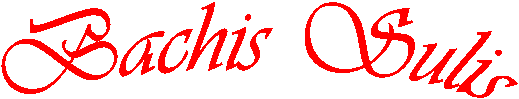 Bachis Sulis